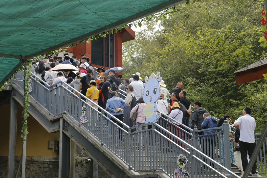 undefined 中国旅游日 | 国网汉中供电公司主动靠前服务 为文旅高质量发展“充电赋能”