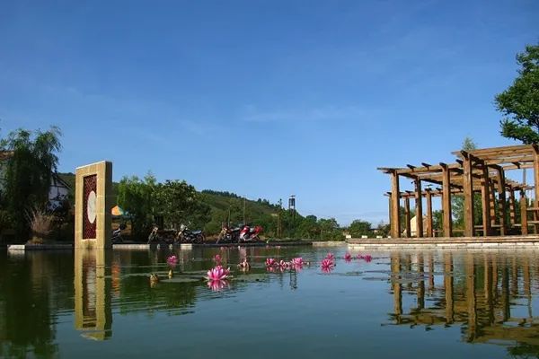 “樱”你而来，“桃”你欢喜！西乡樱桃即将上市！