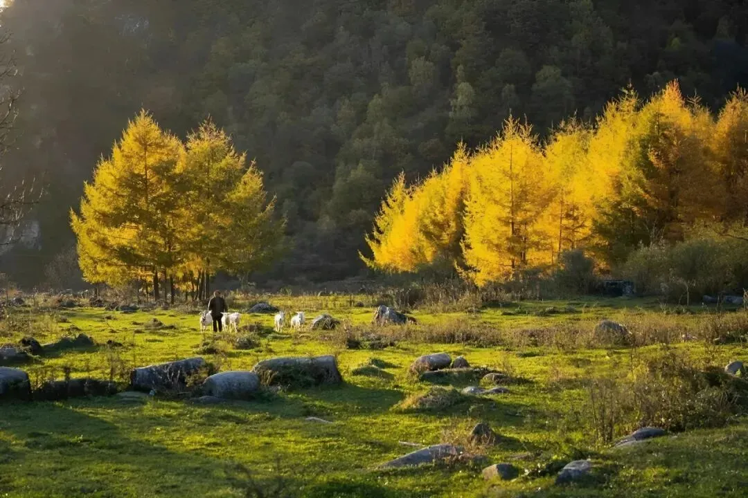 邂逅秦岭最美廊道，赴一场留坝秋日之约
