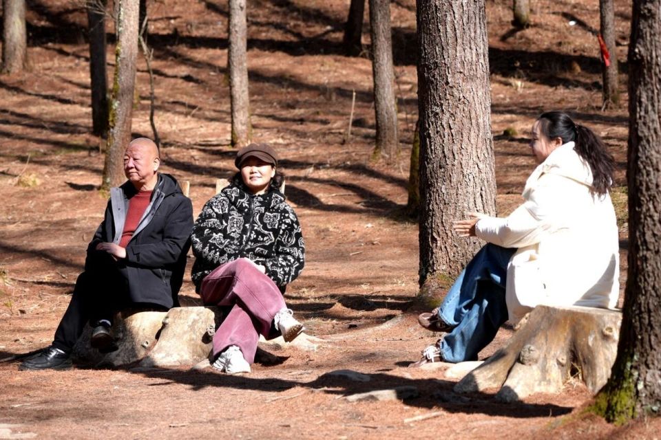 来留坝,过个热气腾腾的烟火年