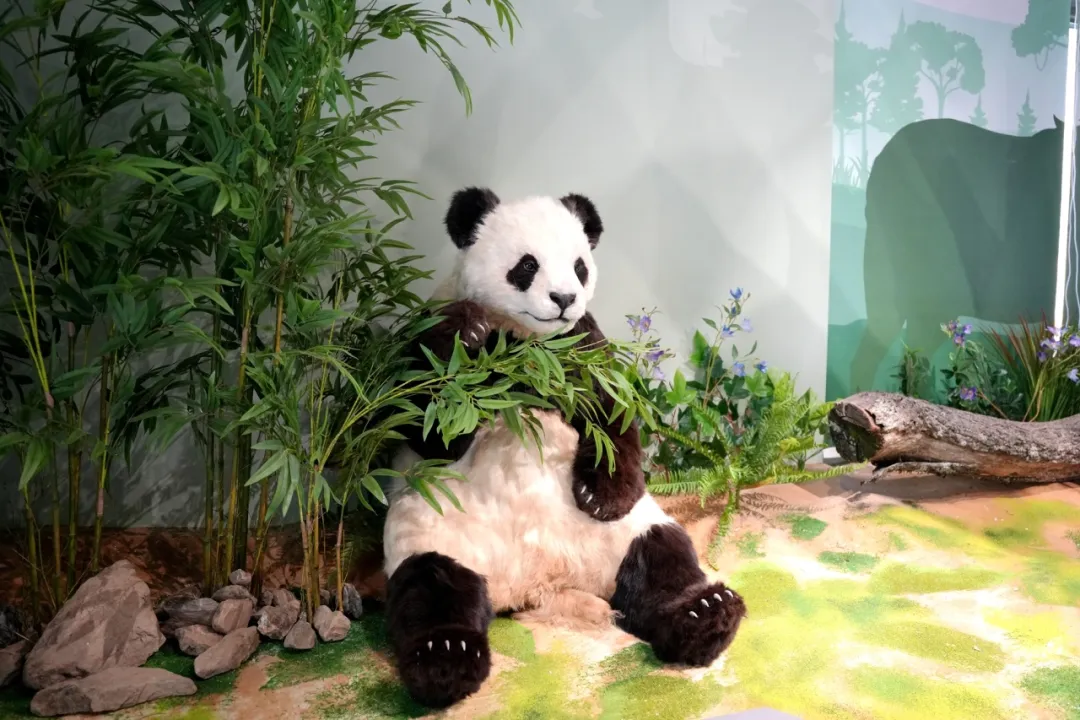 留坝新名片！感官全开，趣游秦岭