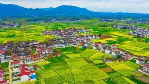 最新消息！南郑为2023中国最美油菜花海汉中旅游文化节主会场！