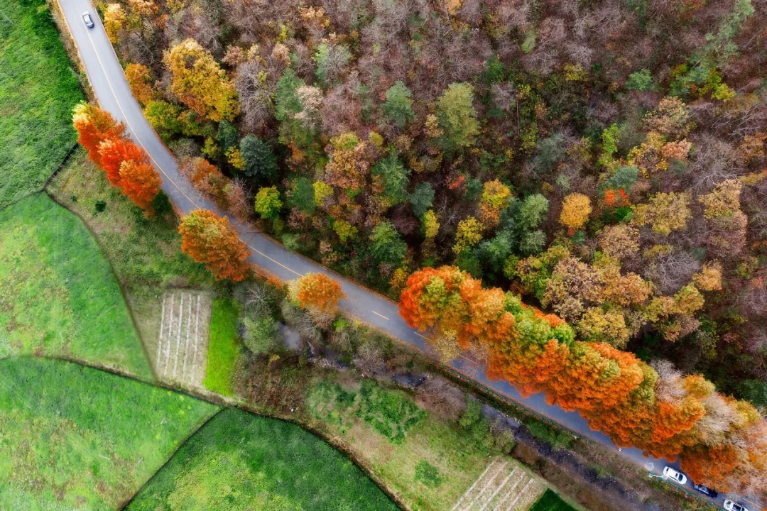 邂逅秦岭最美廊道，赴一场留坝秋日之约