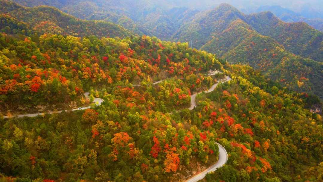 邂逅秦岭最美廊道，赴一场留坝秋日之约