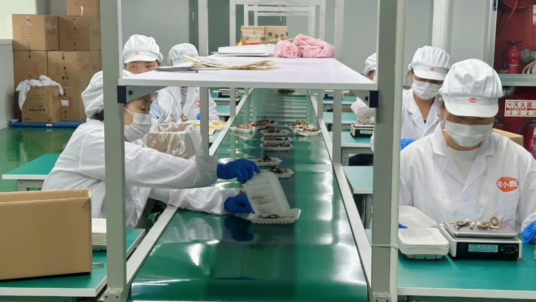 秦岭深处 这个小城如何破圈?