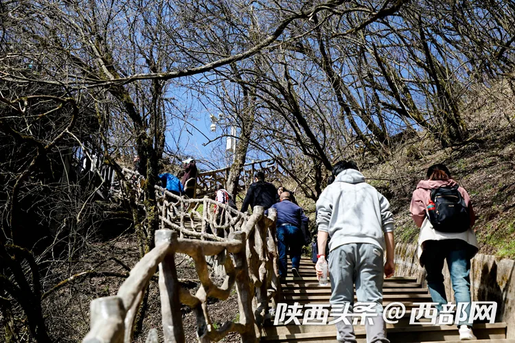 生态高颜值·发展高质量|云端仙境 四季可赏 汉中龙头山风光无限好