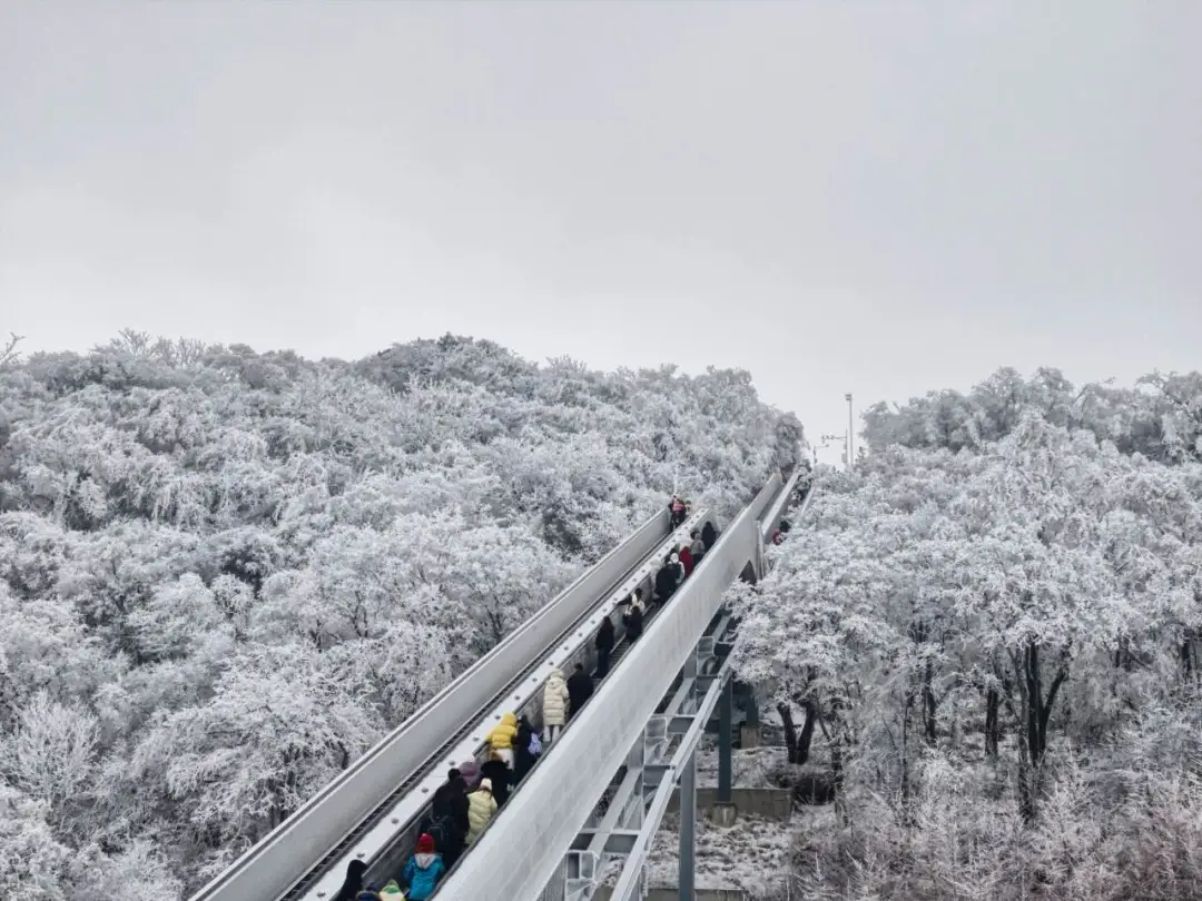 人气火,经济旺!汉中高颜值冰雪出圈→