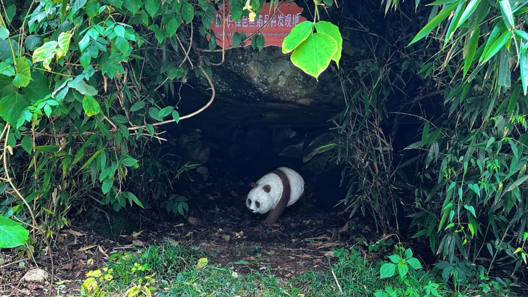 秦岭深处 这个小城如何破圈?