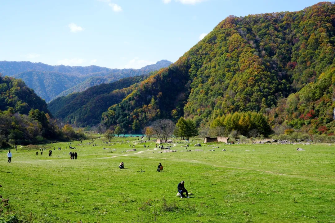 漫山红叶里，留坝接住了千里之外的奔赴