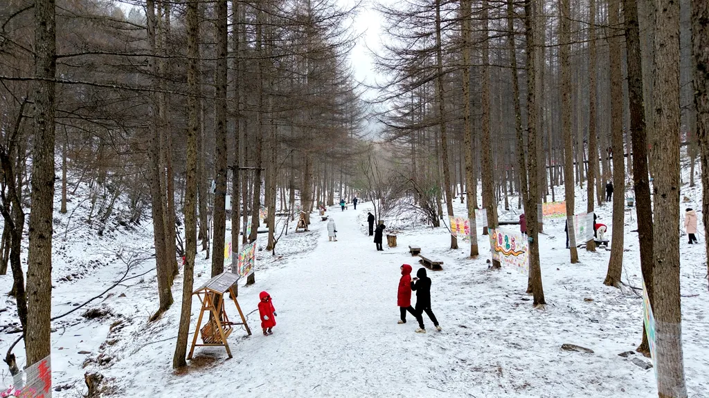 滑雪、戏雪、赏民俗！留坝景区“上才艺”
