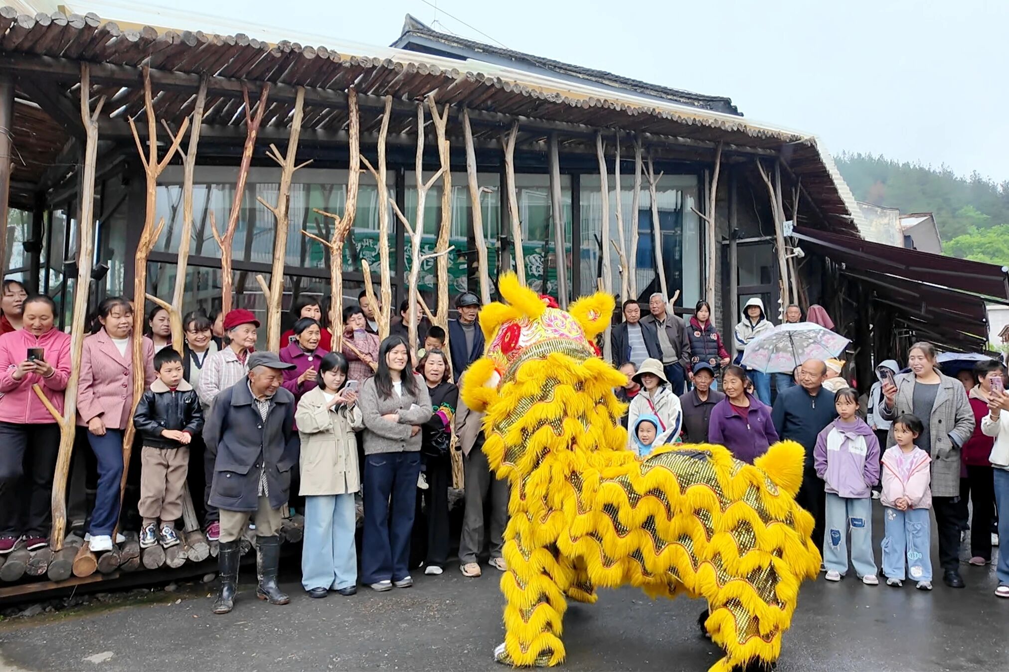 火烧店镇：醒狮闹巷，市集寻味！
