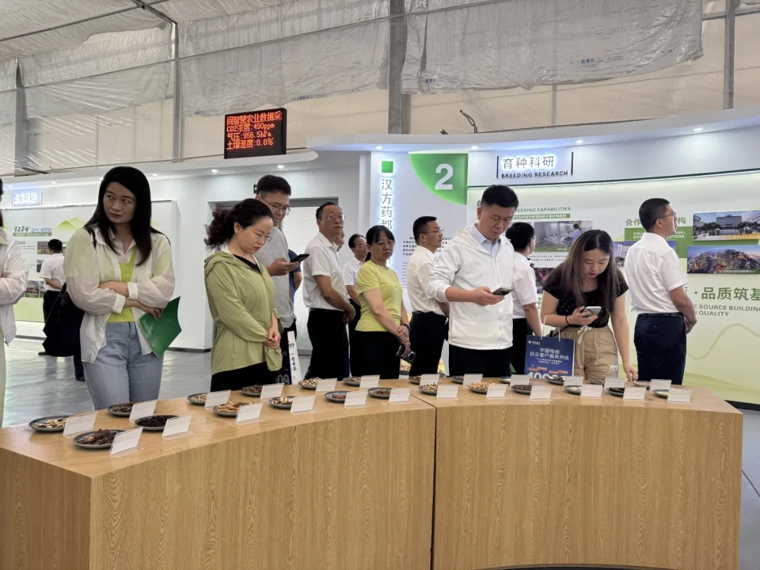 中省媒体聚焦汉中新型工业！传统行业焕发新生→