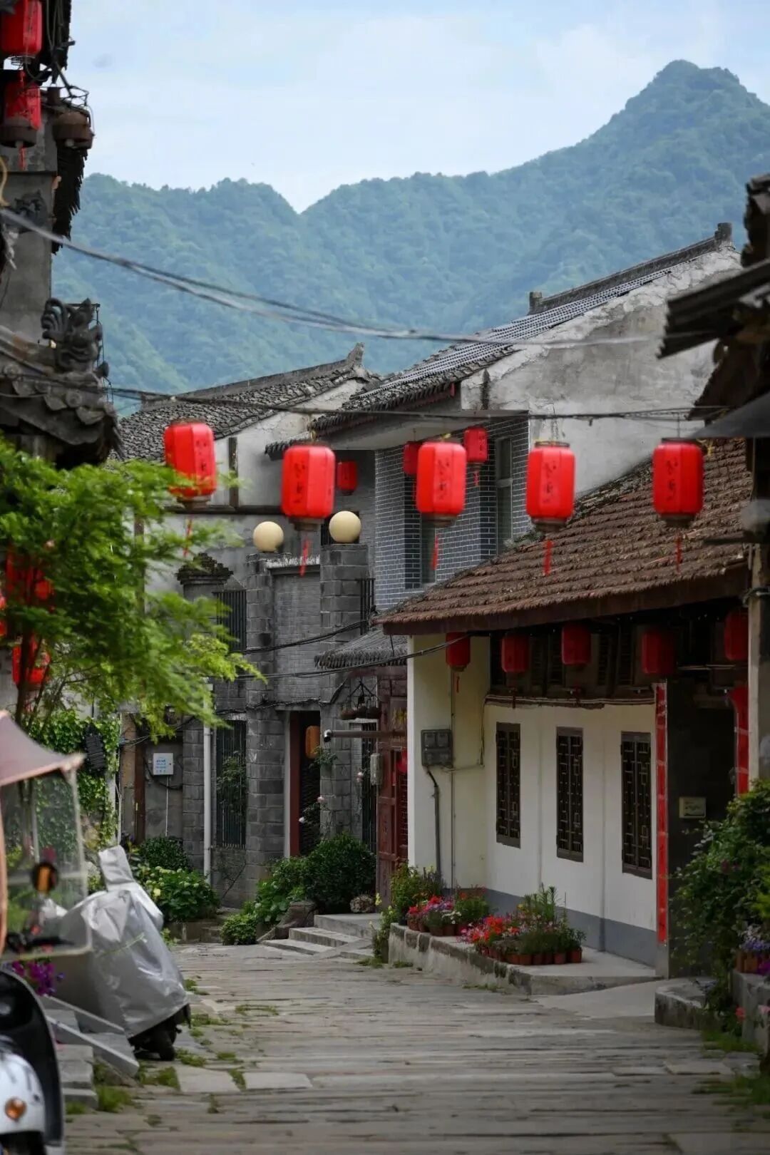 清明春假去哪玩?留坝这几条神仙路线,把秦岭春天一网打尽