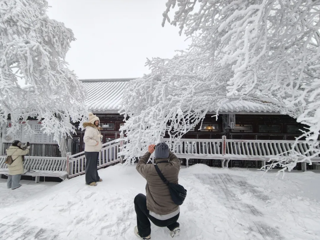 人气火,经济旺!汉中高颜值冰雪出圈→