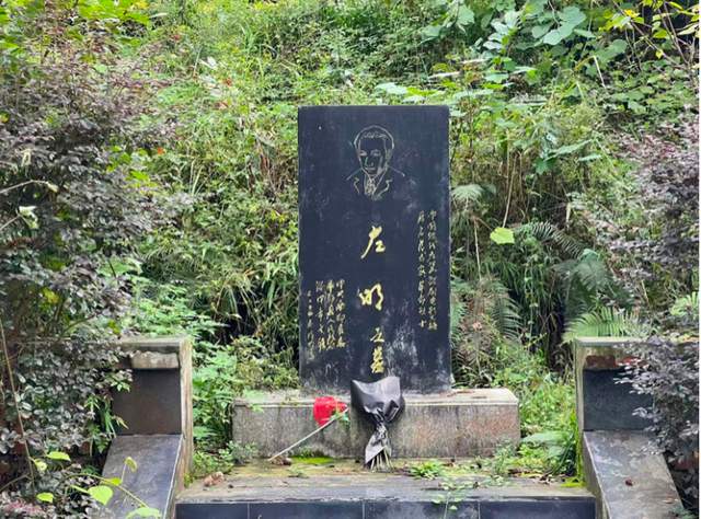 李振峰|米仓重阳菊盛开——读张芳长篇小说《左明》