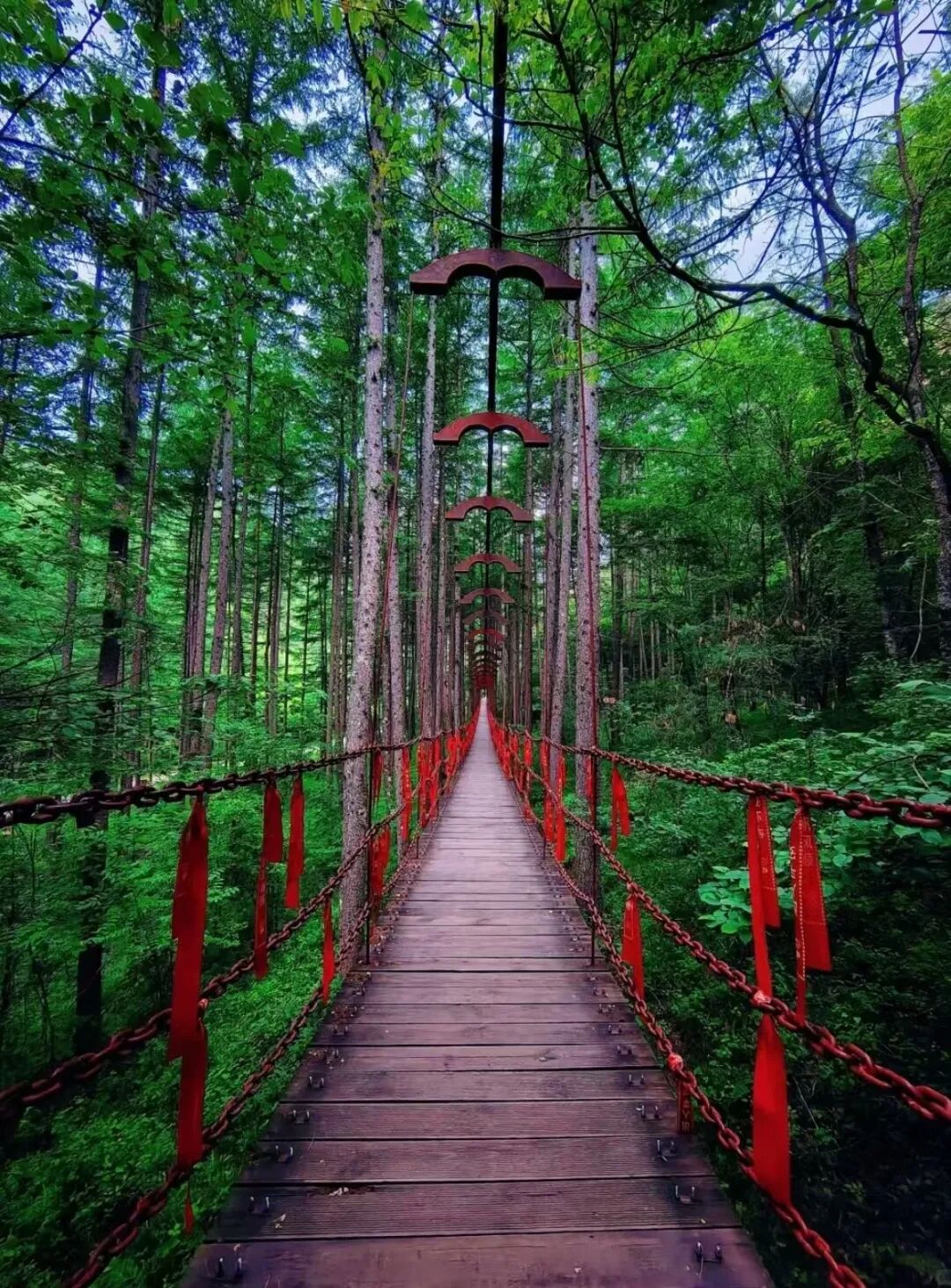 清明春假去哪玩?留坝这几条神仙路线,把秦岭春天一网打尽