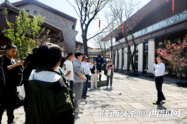 生态高颜值·发展高质量｜油菜花、牡丹花、黑稻田 汉中洋县有机产业有自己的“三原色”