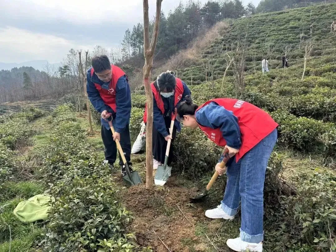 “植”此青绿 | 国网汉中供电公司开展植树节活动