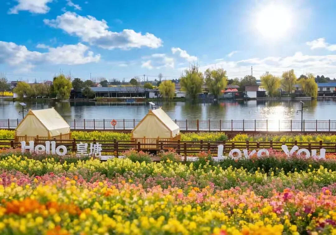 视觉汉台 | 美了醉了，金色汉台