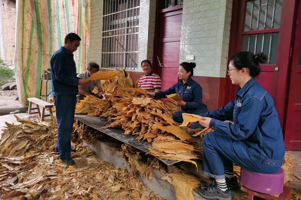 新华社:点滴之间见真情 灾后重建树信心
