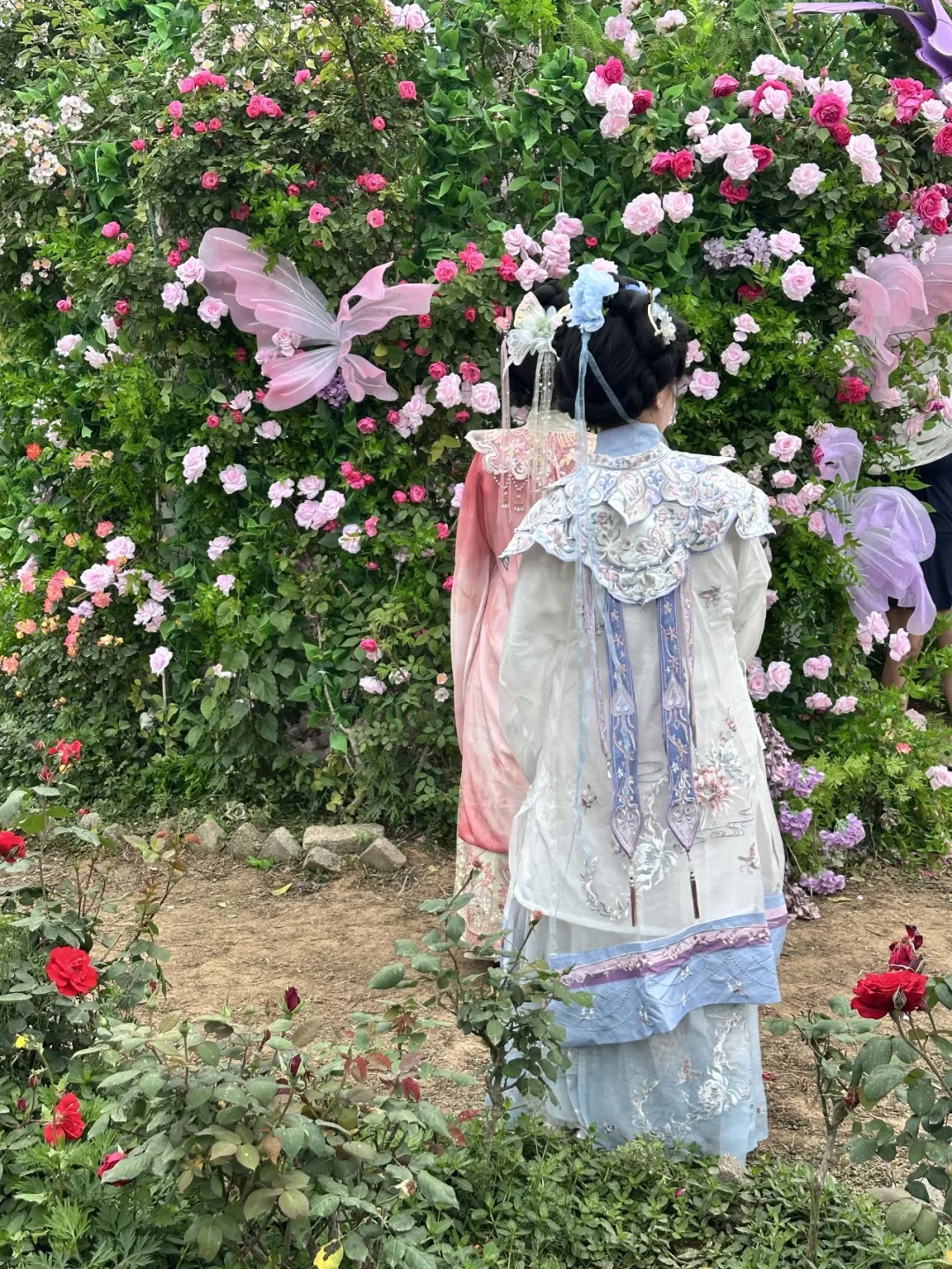 五一假期，南郑花海盛宴引八方游客