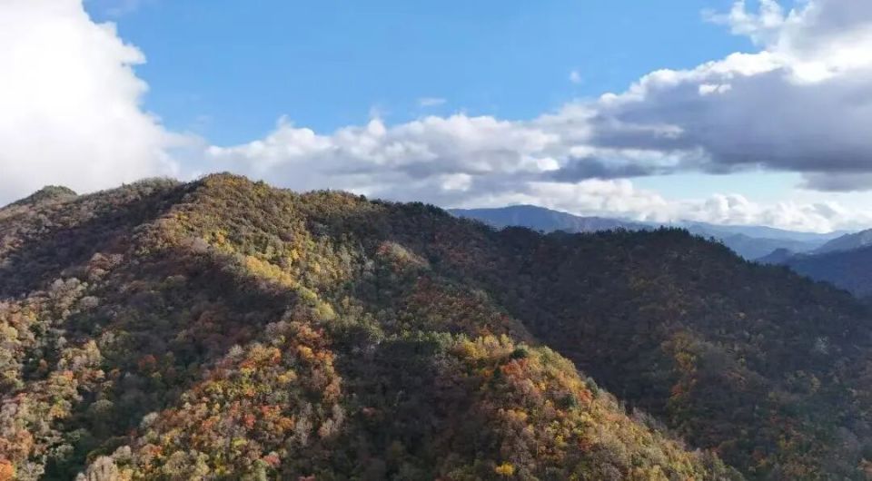 谁说秋天只有凋零?紫柏山两日游攻略来了!