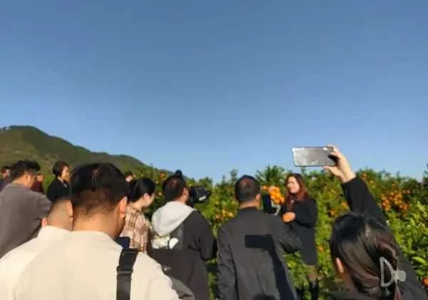 1700199764902229.jpg 图片