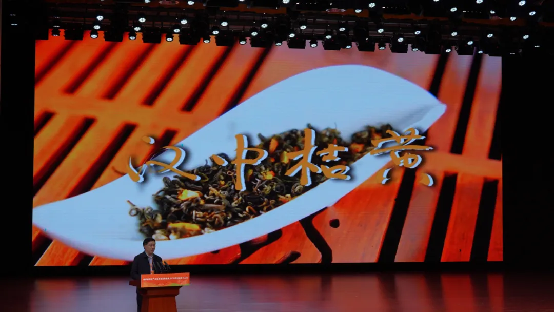 全国首个桔皮融合茶品！预计亩收益翻10倍→