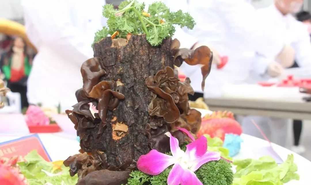 陕西天汉·丝路花海景区开园仪式隆重举行