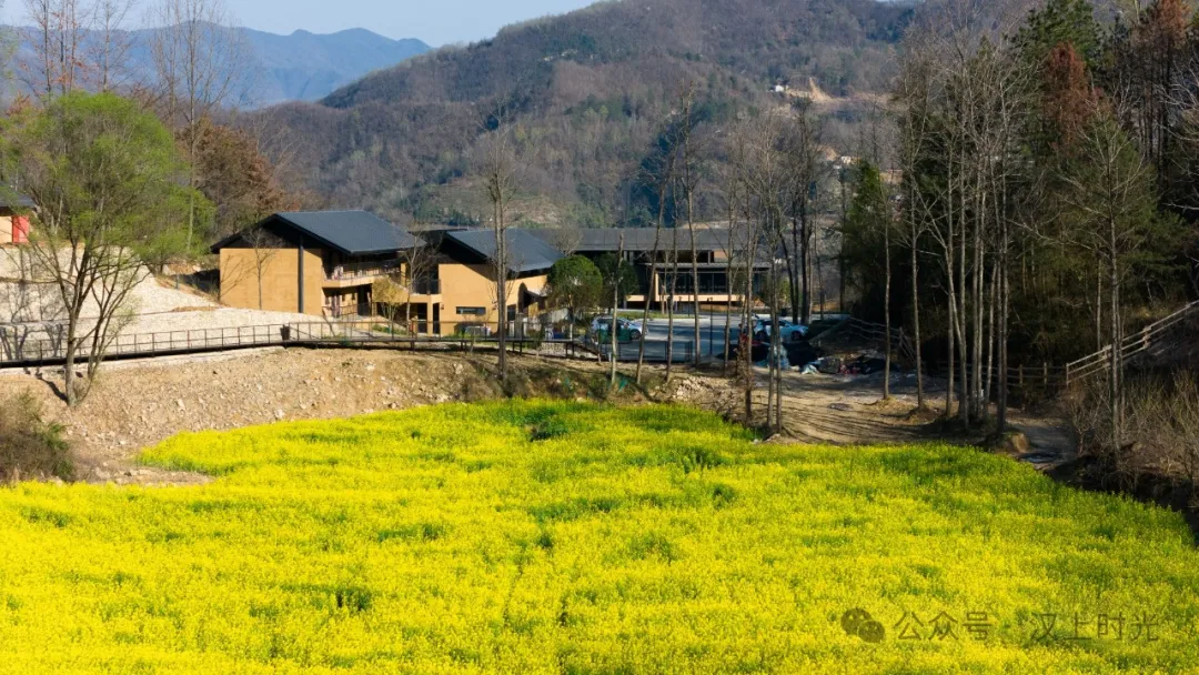 看巴山云海，住独栋小院。走进镇巴欢喜山，把自己住在风景里。
