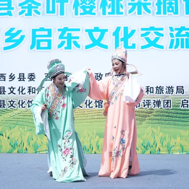 西乡县举行2025茶叶樱桃采摘体验活动暨西乡—启东文化交流活动