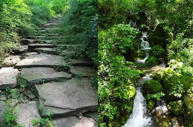 1716175643444536.jpg QQ截图20240520111908.jpg