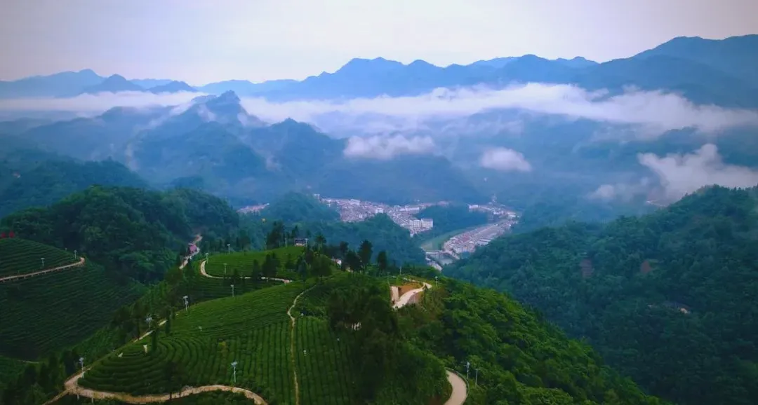 茶旅新地标！楮溪源景区带你开启茶旅融合新体验！