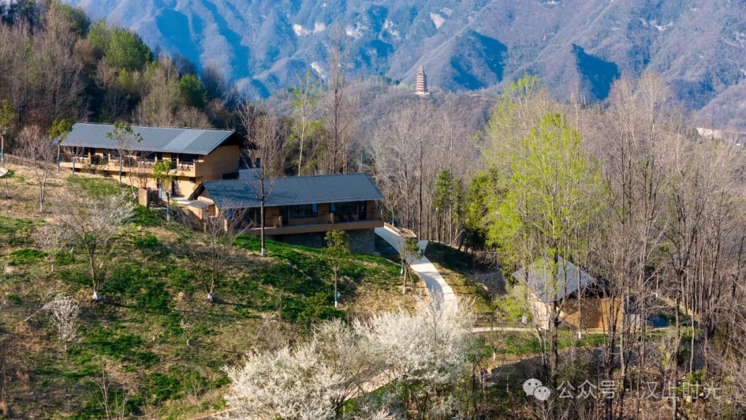 看巴山云海，住独栋小院。走进镇巴欢喜山，把自己住在风景里。