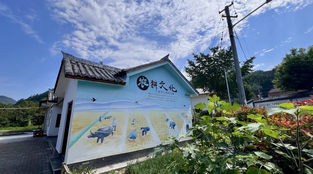 垂钓、逛展、追音乐… 陈家坝稻田音乐季，承包你的周末快乐！