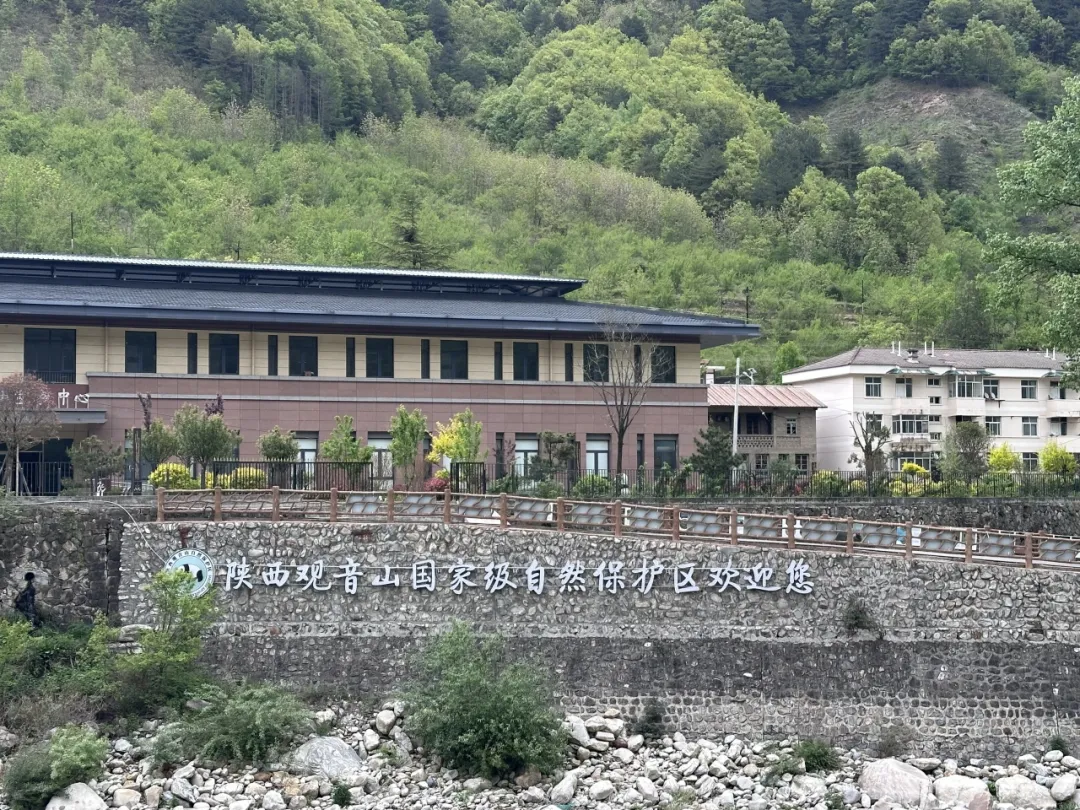 踏遍9943公顷山林！汉中这12名“看树人”被国家表彰！