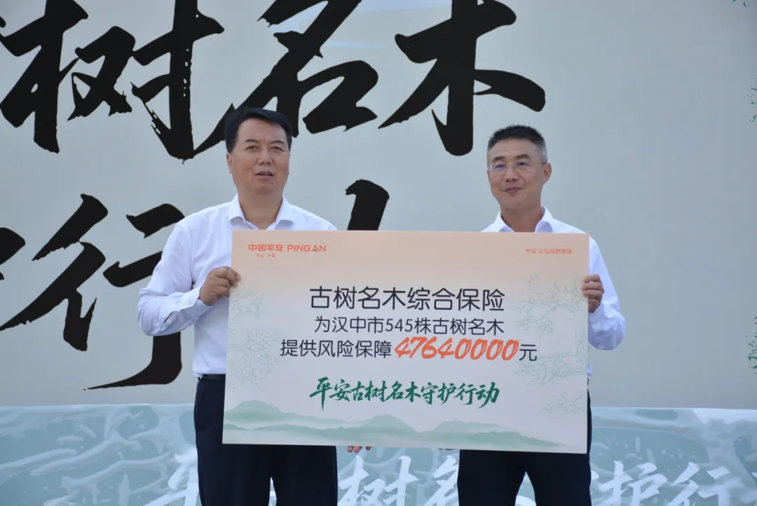 汉中545株古树名木获保险护航!单株最高保8万元!