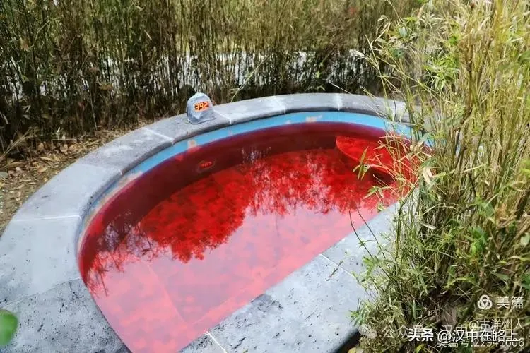 春节不远游！汉中这几个地方嗨翻天