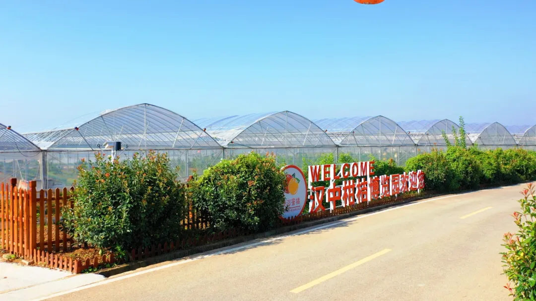 汉台区河东店镇：人居环境“焕新颜” 和美乡村入画来