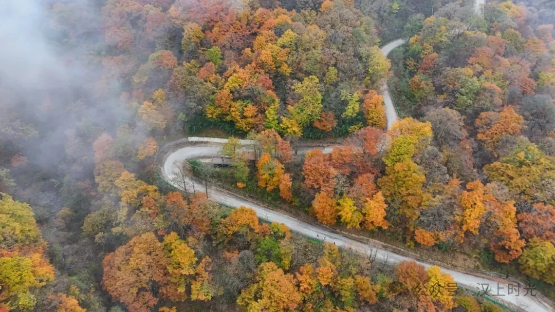 汉中龙头山：云雾裹着秋景，像是在彩林间画了层渐变。