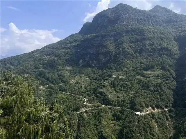 李振峰：米仓访茶