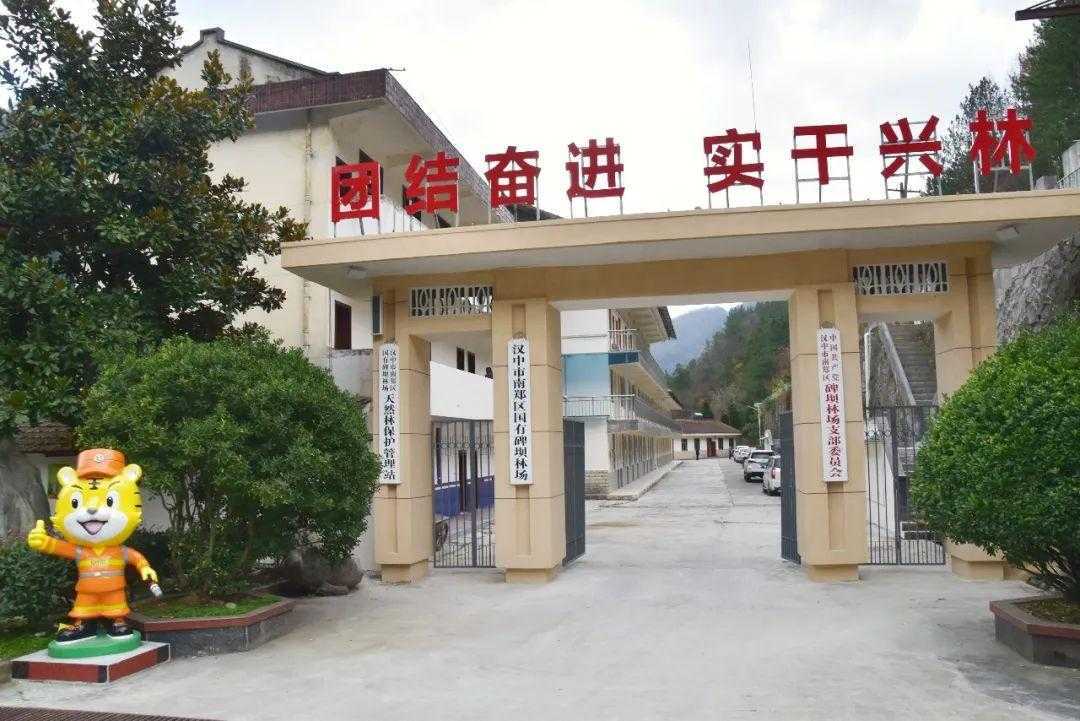 国家级荣誉！汉中这个林场入选→