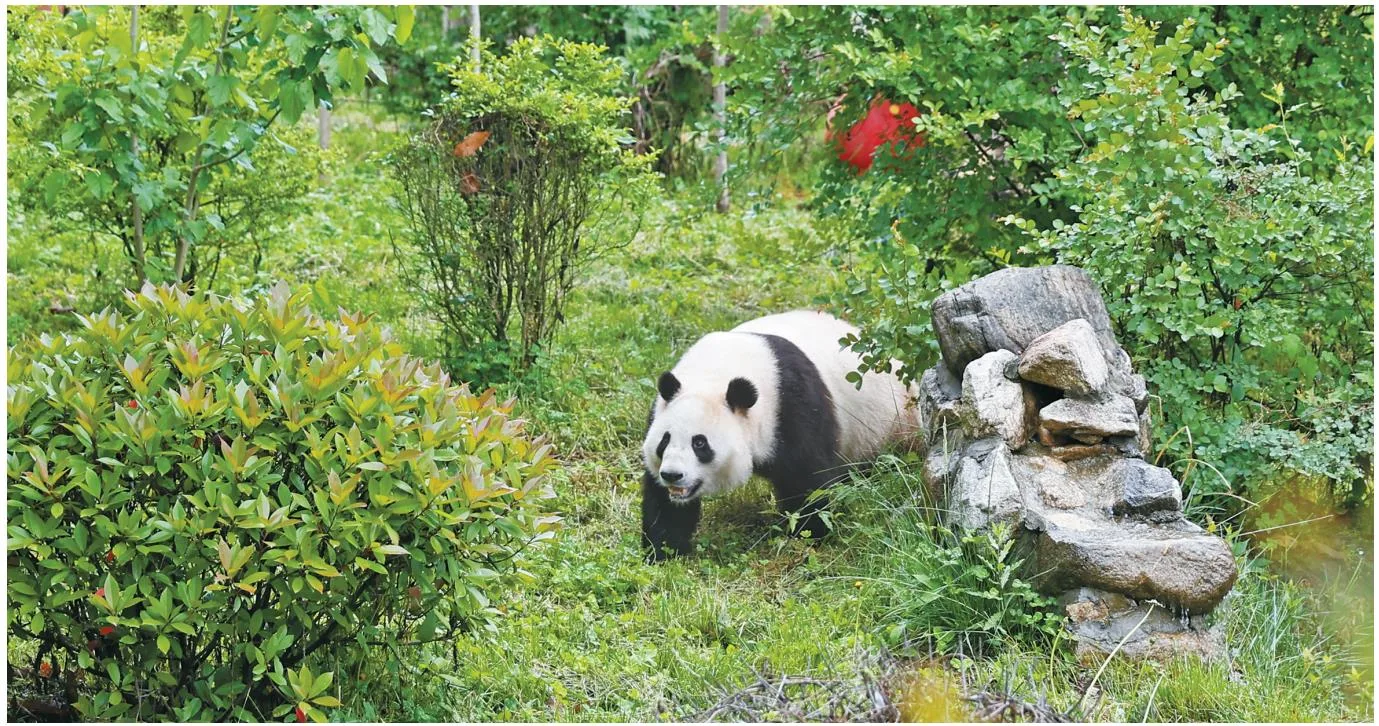 因为珍稀,所以珍惜!陕西生物多样性“家底”知多少