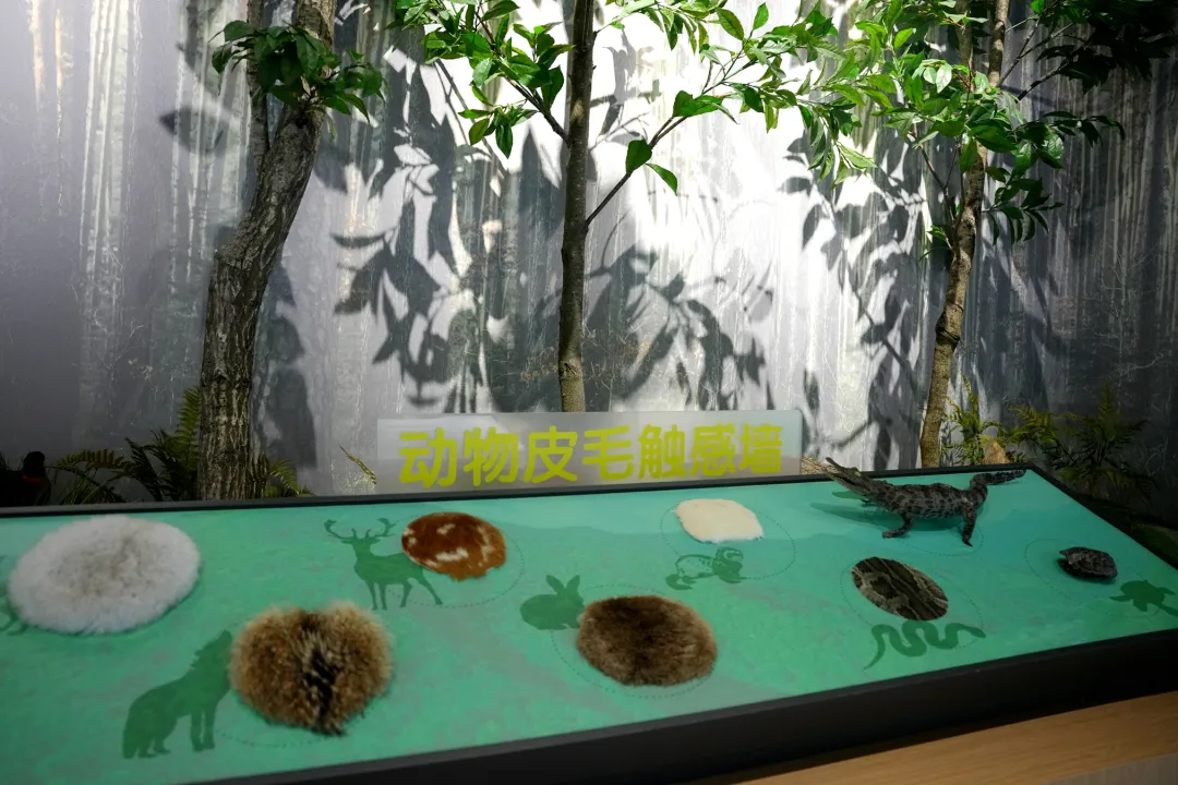 留坝新名片！感官全开，趣游秦岭