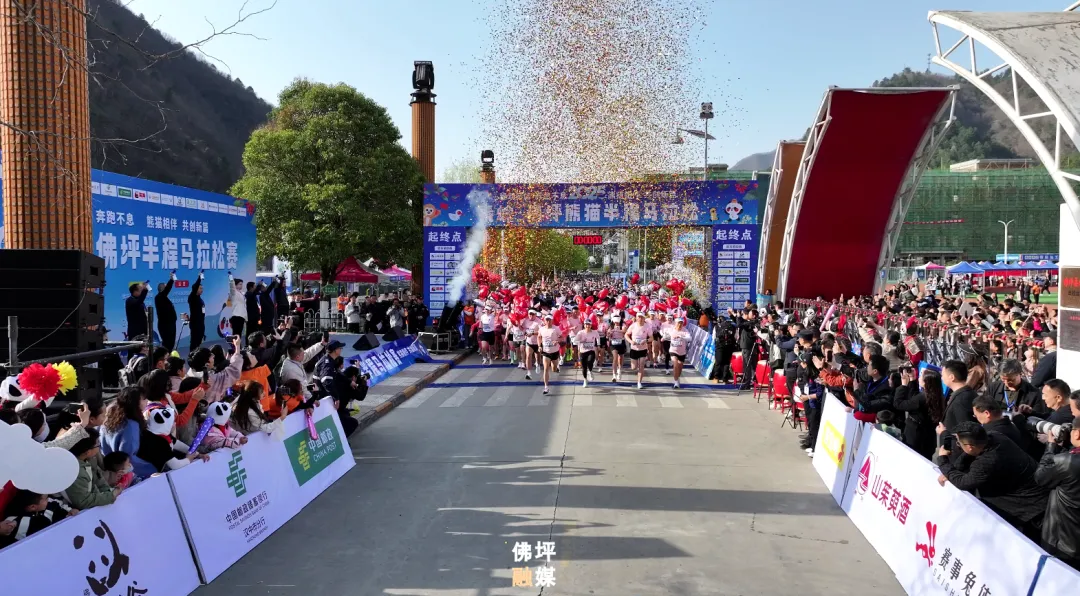 “绿动秦岭 奔跑不息”,2025佛坪“半马”圆满举办!