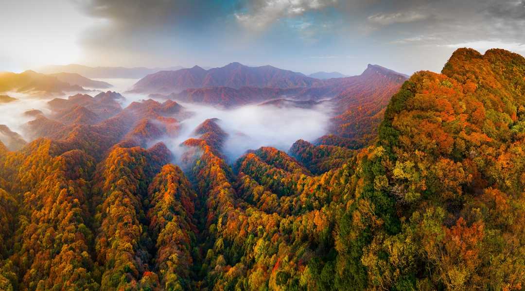 光雾山国家5A级旅游景区驻汉中接待中心正式揭牌