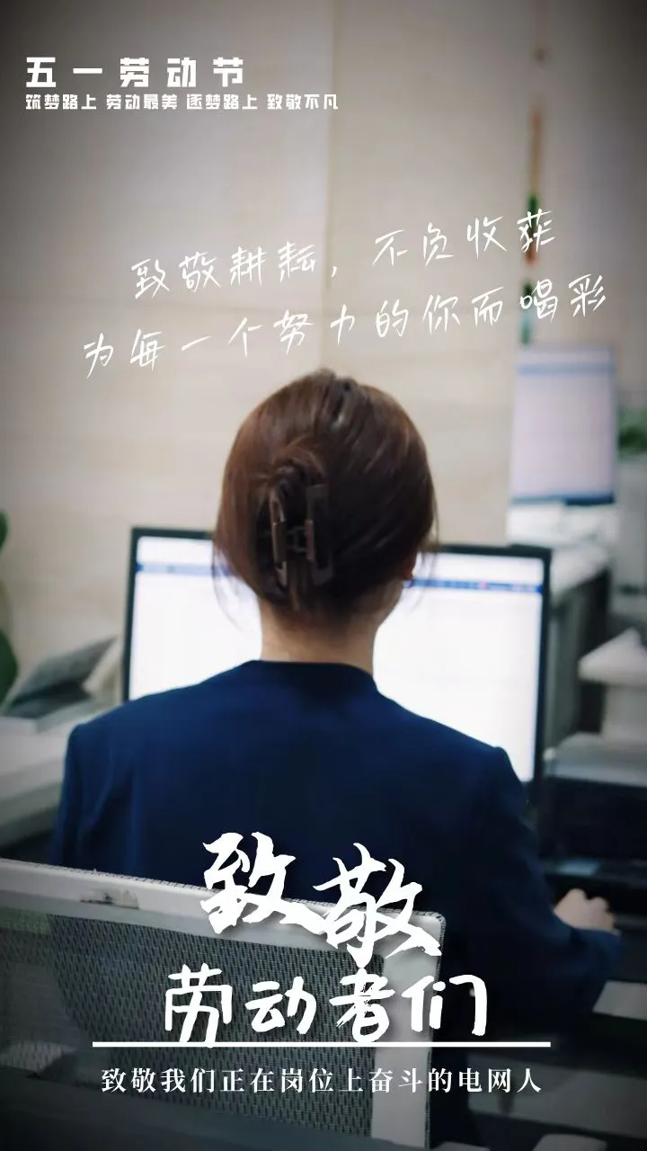 “五一”特辑 | 致敬最美电力人