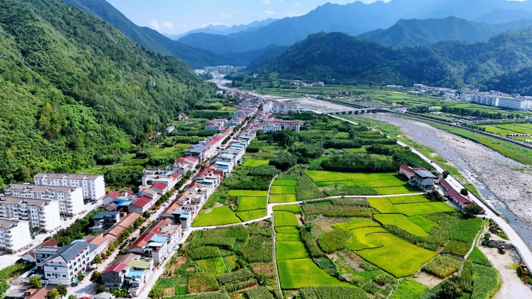 垂钓、逛展、追音乐… 陈家坝稻田音乐季，承包你的周末快乐！