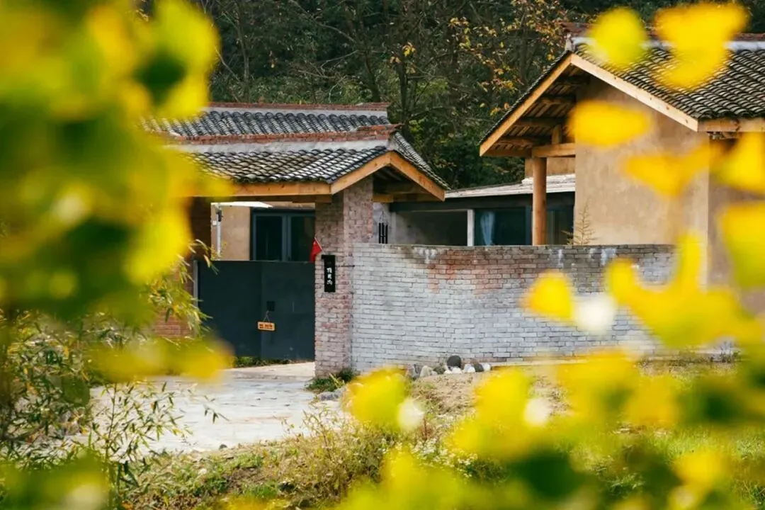 老屋变民宿，蜜桔寄全国，茶园成景区！汉中这波操作666