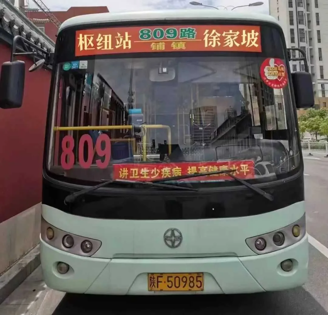新增3条公交线路!详情→